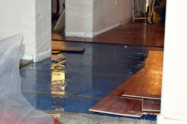 Professional Basement Flood Cleanup technician working in Hundred, WV